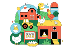 10 Poultry Farming Illustration Product Image 4