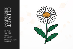 White Daisy Clipart PNG Product Image 1
