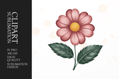 Soft Pink Flower Clipart PNG Product Image 1