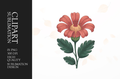Orange Bloom Clipart PNG Product Image 1