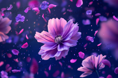 Dreamy Cosmos Flower Petals Background Product Image 1