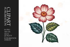 Vintage Flower Bloom Clipart PNG Product Image 1