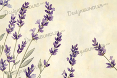 Soft Lavender Branches on Creamy Vintage Background Product Image 1