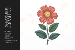 Orange Daisy Clipart PNG Product Image 1