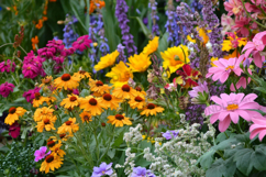 Realistic Garden Flower Bed Photography Product Image 1