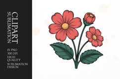 Floral Duo Clipart PNG Product Image 1