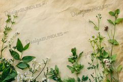 Rustic Beige Wall with Creeping Vines Background Product Image 1