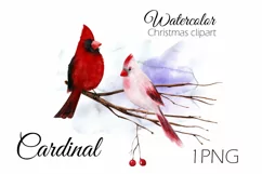 Watercolor Christmas clipart with cardinal birds Product Image 1