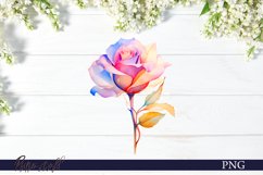 Rose Sublimation | Floral Design PNG Product Image 1