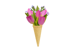 Flowers in a waffle cone Sublimation PNG Product Image 1