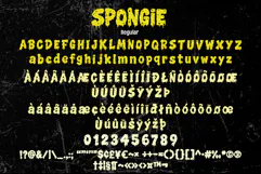 SPONGIE Product Image 7