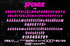 SPONGIE Product Image 8