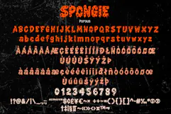 SPONGIE Product Image 9