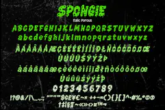 SPONGIE Product Image 10