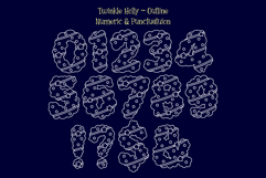 Twinkle Holly Product Image 13