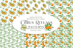 Orange Seamless Patterns, Greenery Citrus Product Image 1