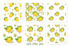 Lemon Blossom Vector Set Product Image 4