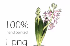 Spring flowers clipart. Hyacinth PNG Product Image 5