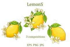 Lemon Blossom Vector Set Product Image 2