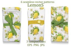 Lemon Blossom Vector Set Product Image 3