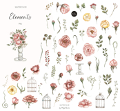 Watercolor Garden Flowers Bundle Product Image 12