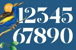 Prague Quest - Modern Alternate Serif Product Image 14