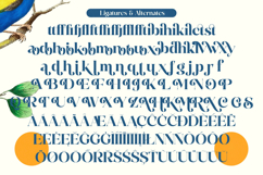 Prague Quest - Modern Alternate Serif Product Image 19