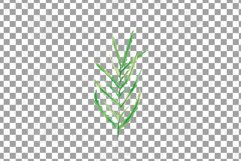 Prairie Grasses and Wildflowers Watercolour decor clip art. Product Image 9