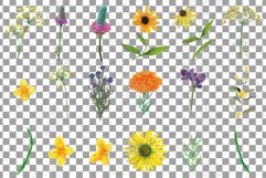 Prairie Grasses and Wildflowers Watercolour decor clip art. Product Image 13