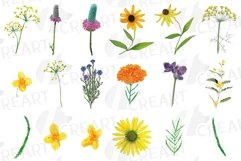 Prairie Grasses and Wildflowers Watercolour decor clip art. Product Image 8