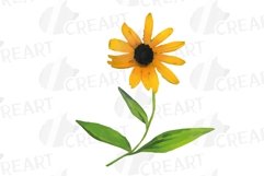 Prairie Grasses and Wildflowers Watercolour decor clip art. Product Image 5