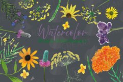 Prairie Grasses and Wildflowers Watercolour decor clip art. Product Image 2