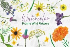 Prairie Grasses and Wildflowers Watercolour decor clip art. Product Image 1