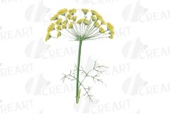 Prairie Grasses and Wildflowers Watercolour decor clip art. Product Image 7