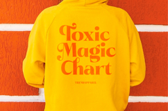 Pramid Mango - Display Serif Font Product Image 9