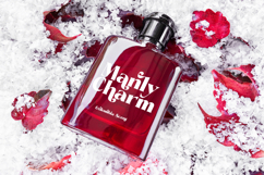 Pramid Mango - Display Serif Font Product Image 12