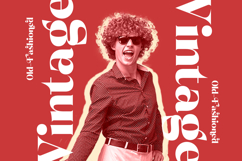 Pramid Mango - Display Serif Font Product Image 15