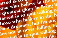 Pramid Mango - Display Serif Font Product Image 17