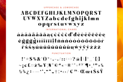 Pramid Mango - Display Serif Font Product Image 19