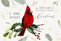Watercolor Christmas clipart with cardinal birds Product Image 1