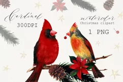 Watercolor Christmas clipart with cardinal birds. Product Image 1