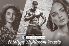 Calotype Lightroom Presets Product Image 1