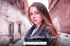 Winter Lightroom Preset Product Image 1