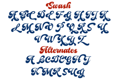 Kindy Script Product Image 3