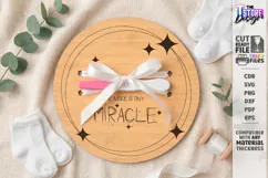 Pregnancy Test Reveal Disc Laser Cut | Baby Reveal SVG | CNC Product Image 1