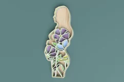 Pregnant Woman Laser Cut File| Layered Floral SVG Product Image 4