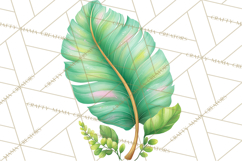 Dinosaur Clipart, Dino Nursery Art PNG Product Image 5