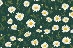 White Daisy Green Garden Background Product Image 1