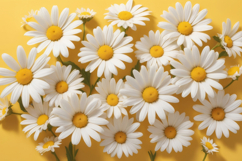 Yellow Daisy Summer Floral Background Product Image 1