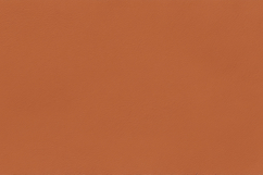 Warm Burnt Orange Texture background Product Image 1